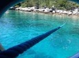 Half Day All Inclusive Cruise to Islands Brac and Solta