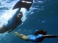 Underwater Boat Hitchhiking with Barbecue Lunch