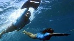 Underwater Boat Hitchhiking with Barbecue Lunch
