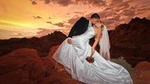 Valley of Fire Wedding Package