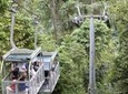 Veragua Rainforest aerial tram