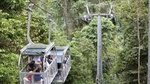 Veragua Rainforest aerial tram