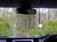Water Falls Hunt