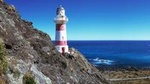 Martinborough Wine and Wild Coast Tour from Wellington