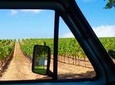 Wine Beer and Biltong Safari (Stellenbosch Experience)