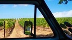 Wine Beer and Biltong Safari (Stellenbosch Experience)