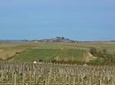 Wine and Cheese Day Trip in Loire Valley Region from Paris