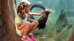 Zoo Miami General Admission with Optional Monorail and Animal Feeding Upgrade