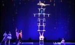 Shanghai Dinner and Acrobatics Show