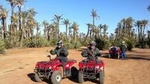 Marrakech Palm Oasis and Desert Quad Bike Adventure