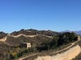 Private Great Wall of Gubeikou Hiking Tour from Beijing