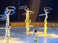 Zhujiajiao Private Day Tour and Shanghai Acrobatic Show