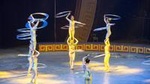 Zhujiajiao Private Day Tour and Shanghai Acrobatic Show