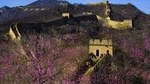 Full-day Tiananmen Square, Forbidden City, and Mutianyu Great Wall from Beijing