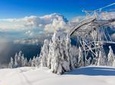 Small Group Tour: Capilano Suspension Bridge and Grouse Mountain from Vancouver