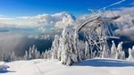 Small Group Tour: Capilano Suspension Bridge and Grouse Mountain from Vancouver