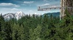 Small Group Tour: Vancouver Sightseeing and Capilano Suspension Bridge