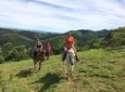 Small-Group Horseback Riding from Paraty