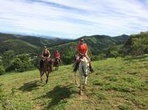 Small-Group Horseback Riding from Paraty