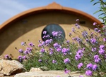 Visit Deer Park Monastery, Escondido, California