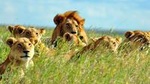 Private 7 Day Breathtaking Kenya Big 5 Safari