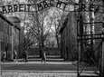 Auschwitz-Birkenau Memorial and Museum Guided Tour from Krakow