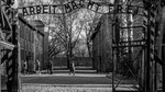 Auschwitz-Birkenau Memorial and Museum Guided Tour from Krakow
