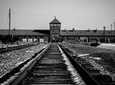 Auschwitz-Birkenau and Wieliczka Salt Mine Full Day Guided Tour from Krakow