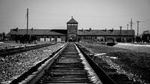Auschwitz-Birkenau and Wieliczka Salt Mine Full Day Guided Tour from Krakow