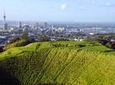 Half-day Discover Auckland City Sightseeing Tour