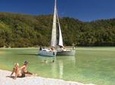 Full-Day Sailing Adventure in the Abel Tasman National Park