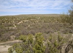 Hike or Ride Birding Trail, Catalina State Park, Arizona