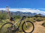 Hike or Ride 50-Year Trail, Catalina State Park, Arizona