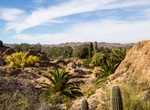 Explore Boyce Thompson Arboretum State Park, Arizona