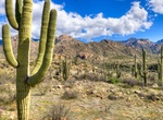 Explore Catalina State Park, Arizona