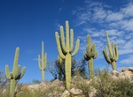 Hike or Ride Canyon Loop Trail, Catalina State Park, Arizona