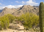 Hike or Ride Nature Trail, Catalina State Park, Arizona