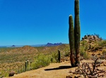 Hike Valley View Overlook & Wild Dog Trails, Saguaro National Park, Arizona