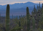 Hike or Ride Sendero Esperanza Trail, Saguaro National Park, Arizona