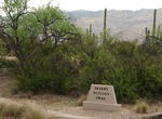 Hike Desert Ecology Trail, Saguaro National Park, Arizona