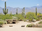 Visit Mica View Picnic Area, Saguaro National Park, Arizona