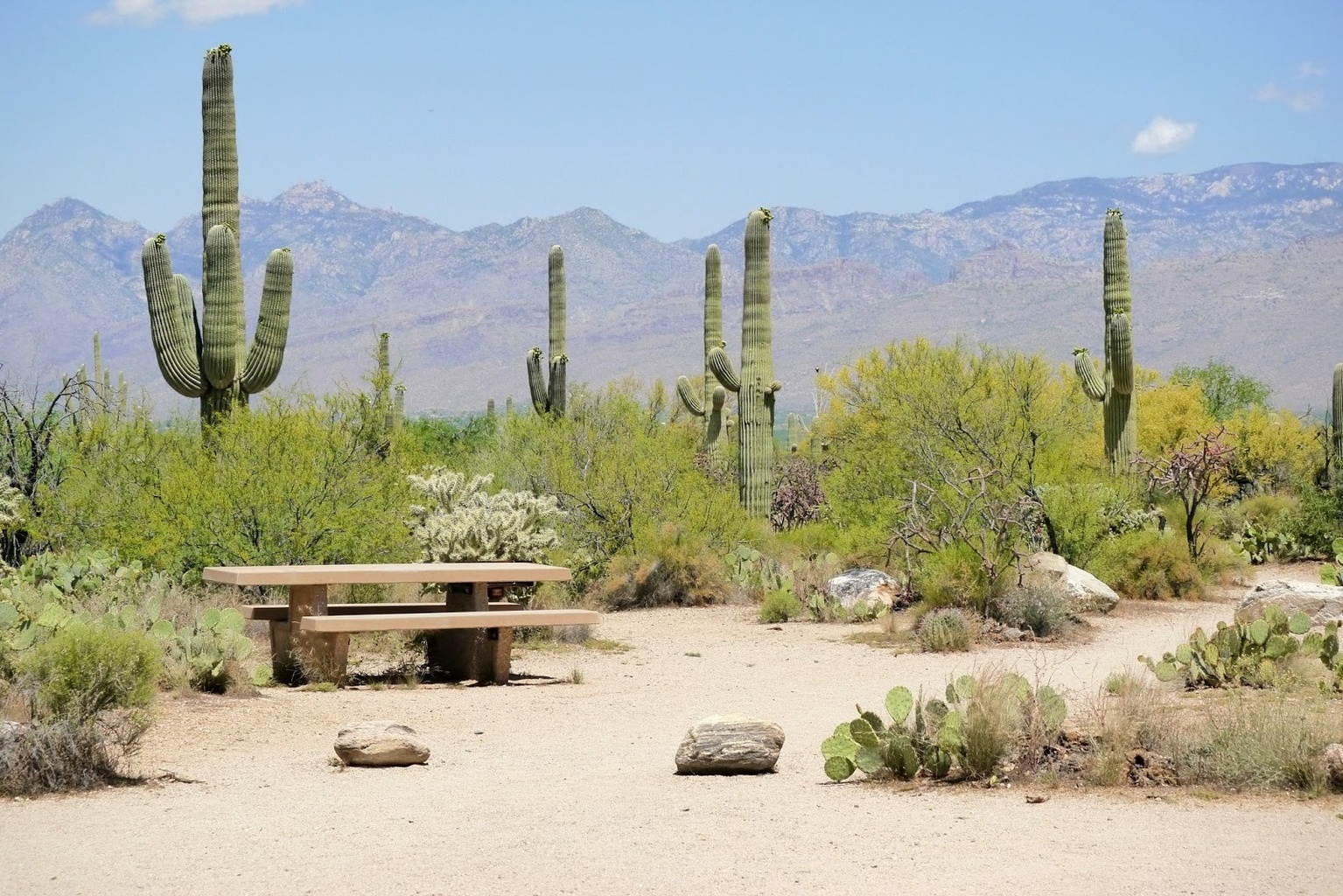 Mica View Picnic Area