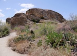 Visit Javelina Rocks Overlook, Saguaro National Park, Arizona