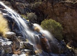 See Bridal Wreath Falls, Saguaro National Park, Arizona