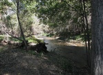 Explore Sonoita Creek State Natural Area, Arizona
