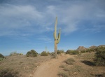 Mountain Bike Lost Dutchman Singletrack, Arizona