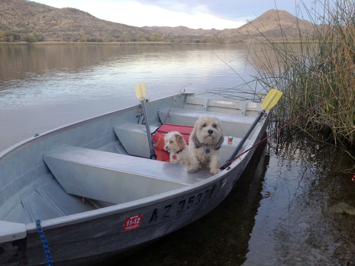 Patagonia Lake Boatin Camping Site