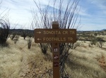 Hike Sonoita Creek Trail, Sonoita Creek State Natural Area, Arizona