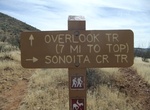 Hike Overlook Trail, Sonoita Creek State Natural Area, Arizona