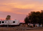 Camp at Lake Havasu State Park Campground, Arizona